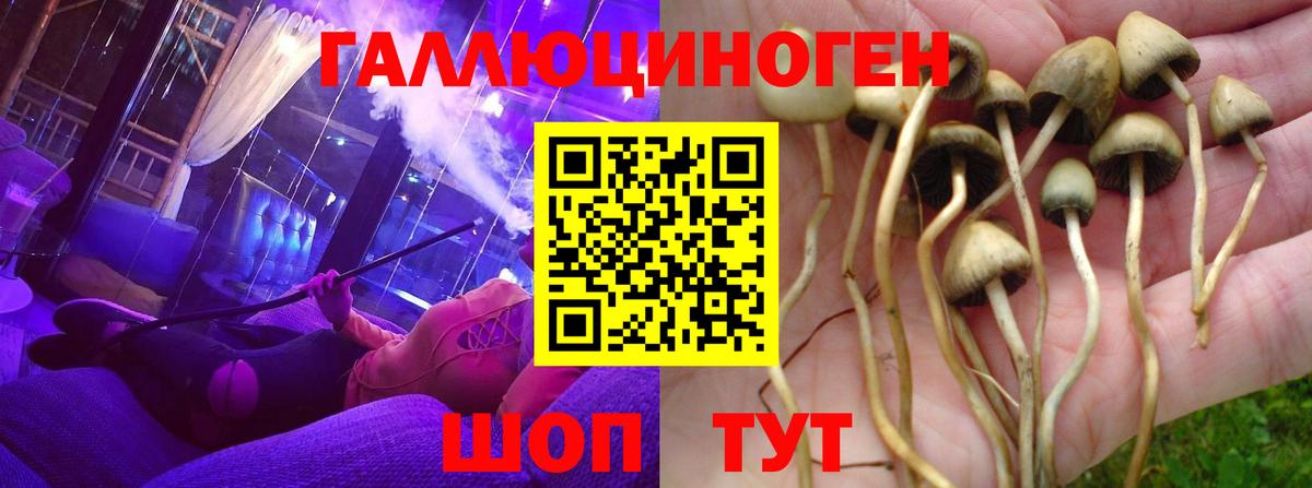 Галлюциногенные грибы GOLDEN TEACHER Белогорск